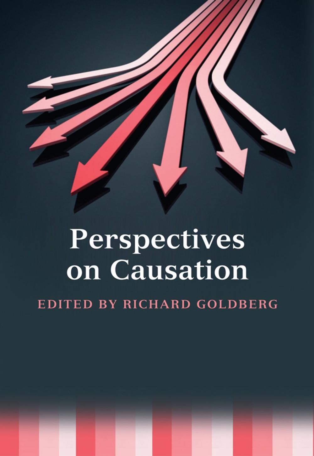 Big bigCover of Perspectives on Causation