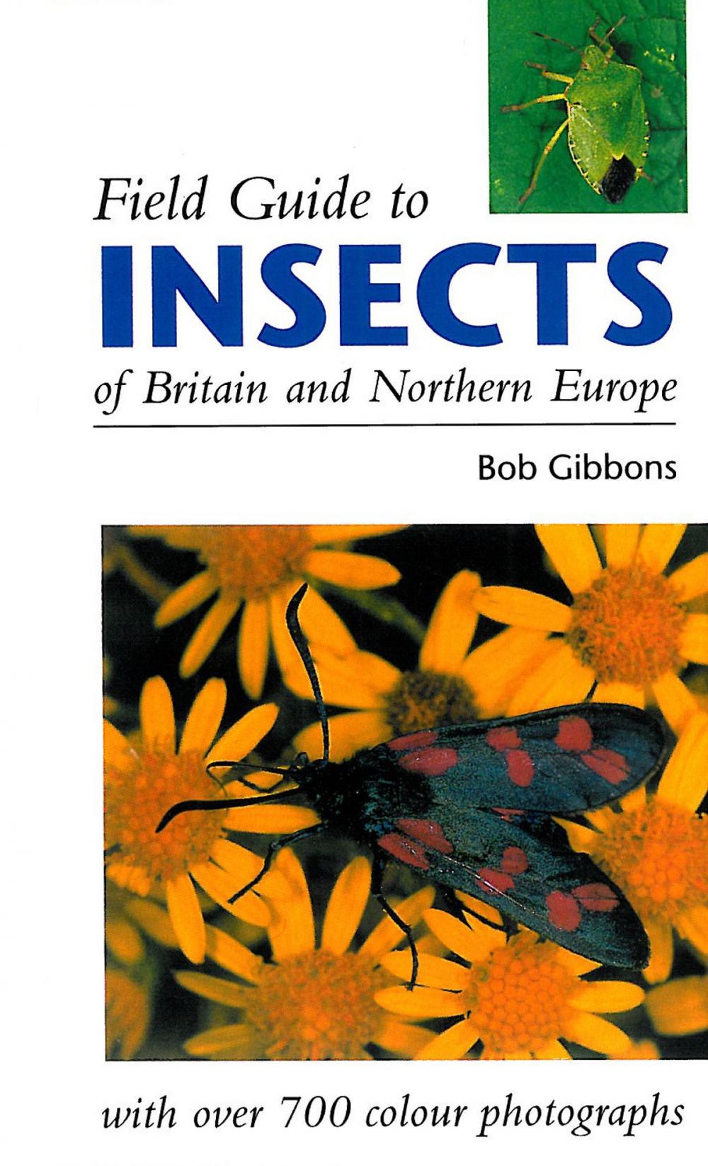 Big bigCover of FIELD GUIDE TO INSECTS OF BRITAIN AND NORTHERN EUROPE