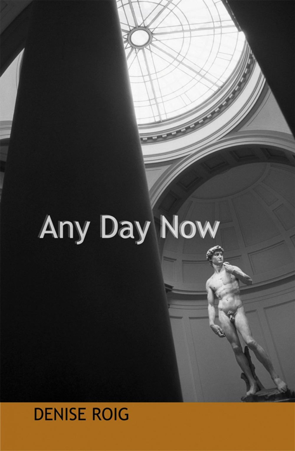 Big bigCover of Any Day Now