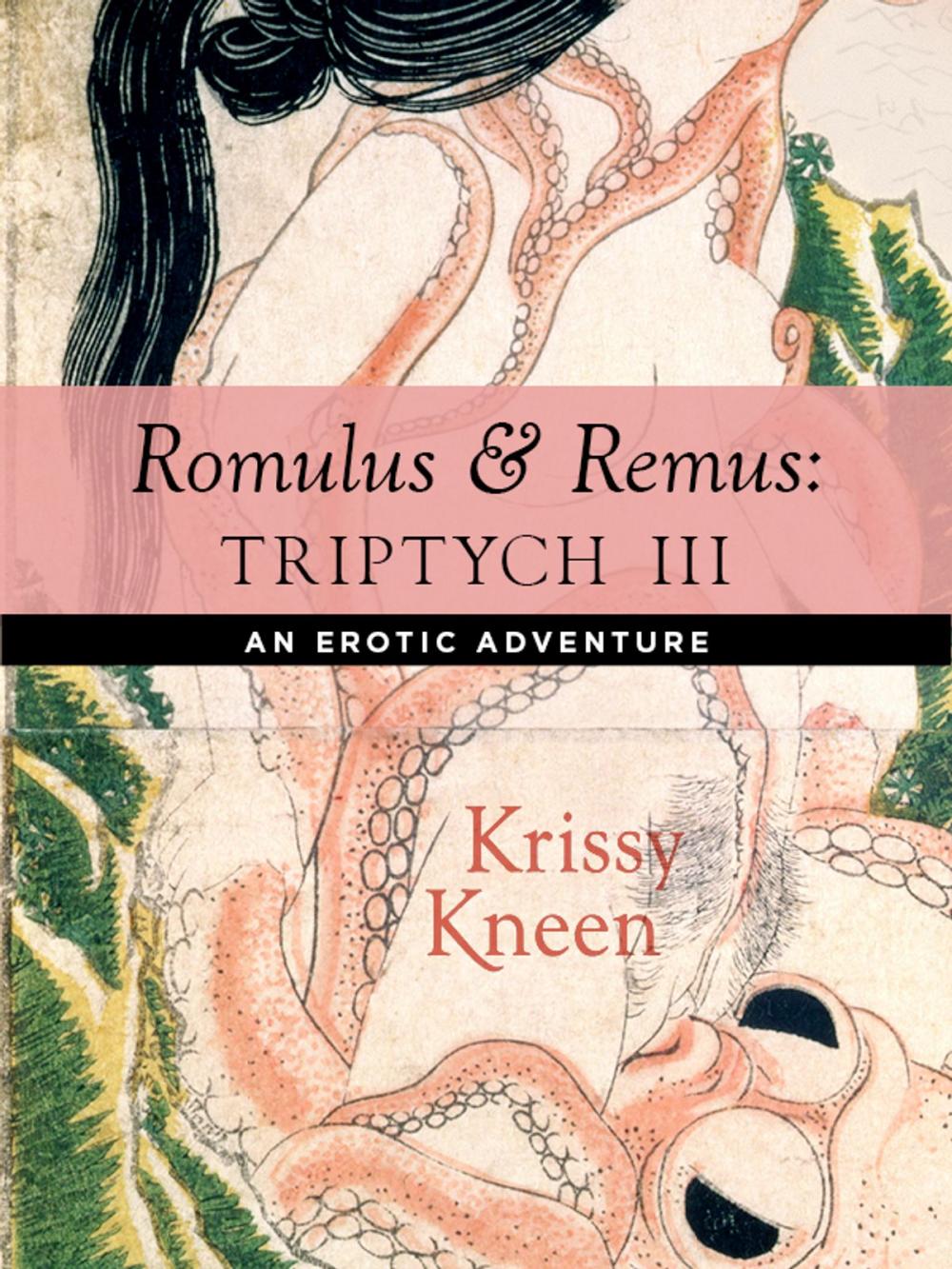 Big bigCover of Romulus and Remus