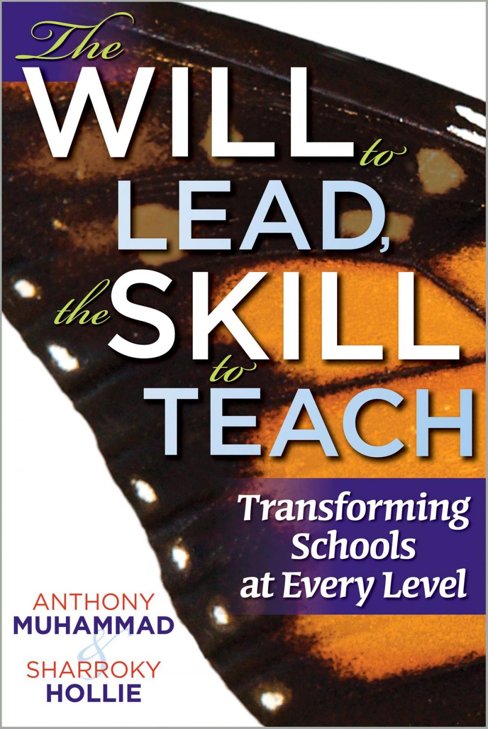 Big bigCover of The Will to Lead,The Skill to Teach: Transforming Schools at Every Level