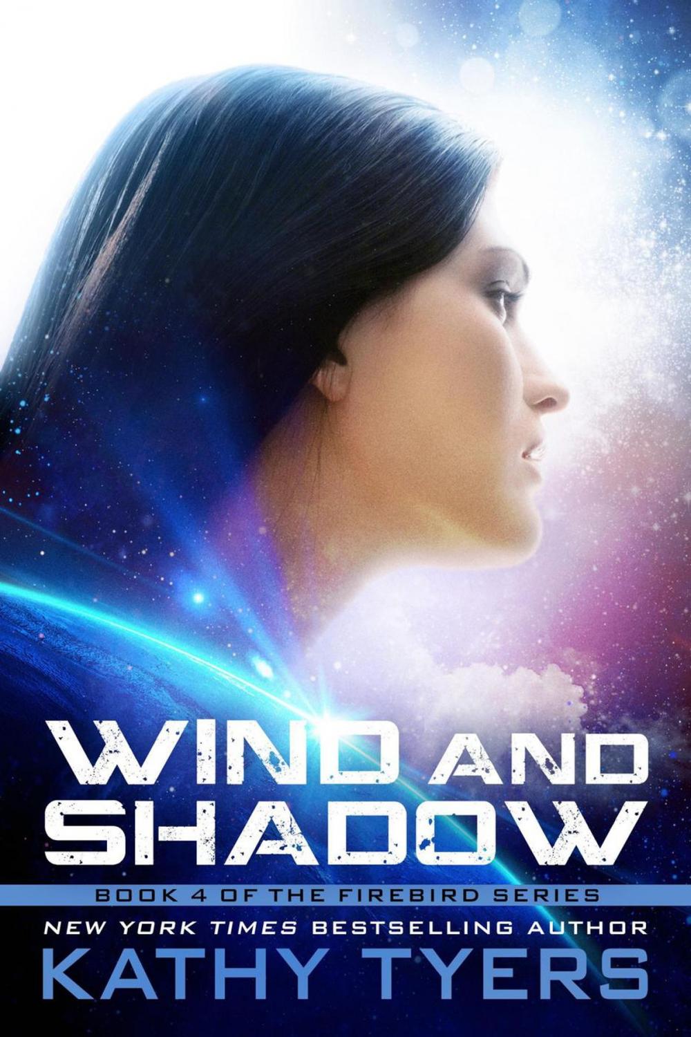 Big bigCover of Wind and Shadow