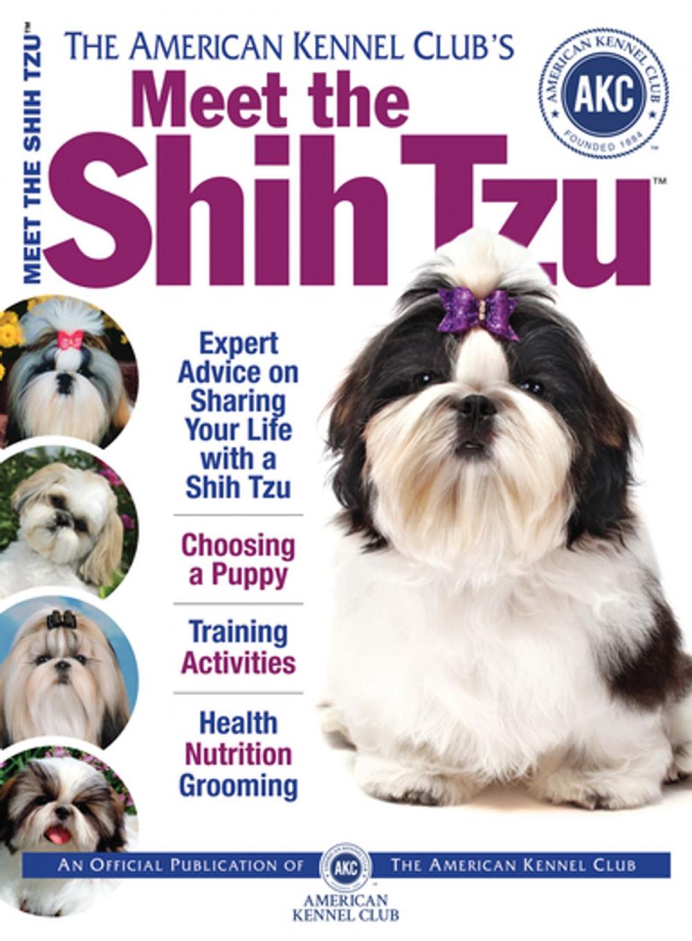 Big bigCover of Meet the Shih Tzu