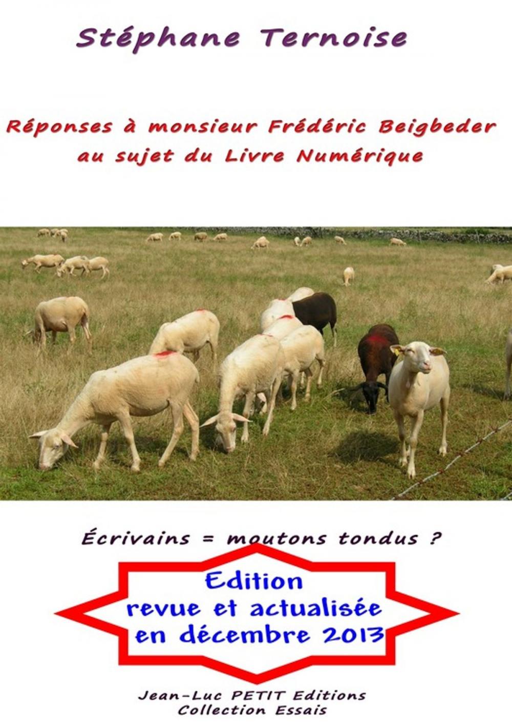 Big bigCover of Réponses à monsieur Frédéric Beigbeder au sujet du Livre Numérique
