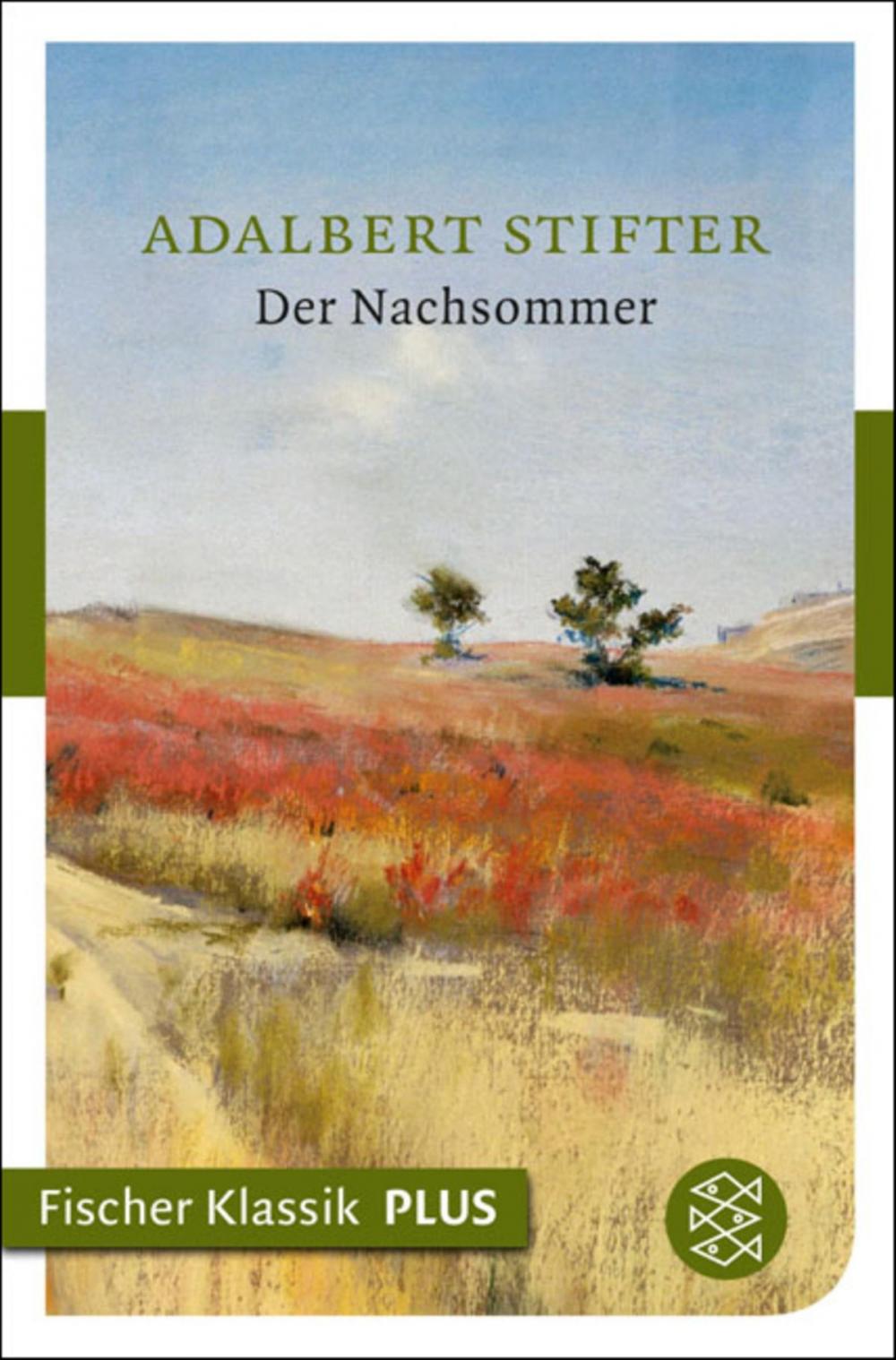 Big bigCover of Der Nachsommer