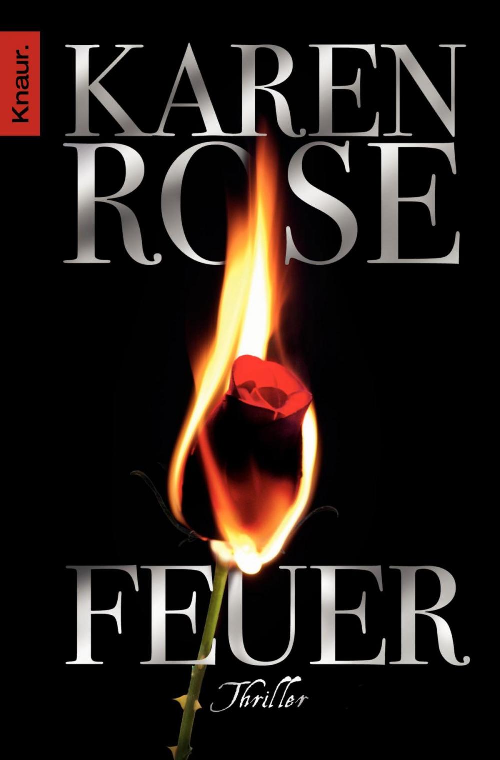 Big bigCover of Feuer