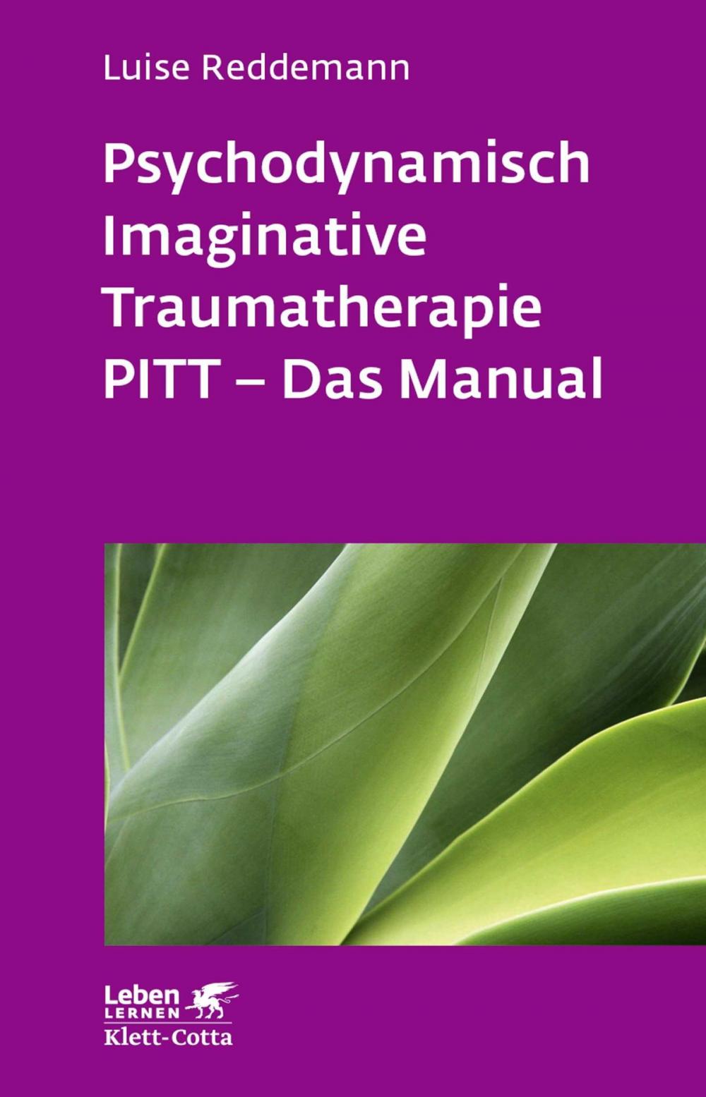 Big bigCover of Psychodynamisch Imaginative Traumatherapie