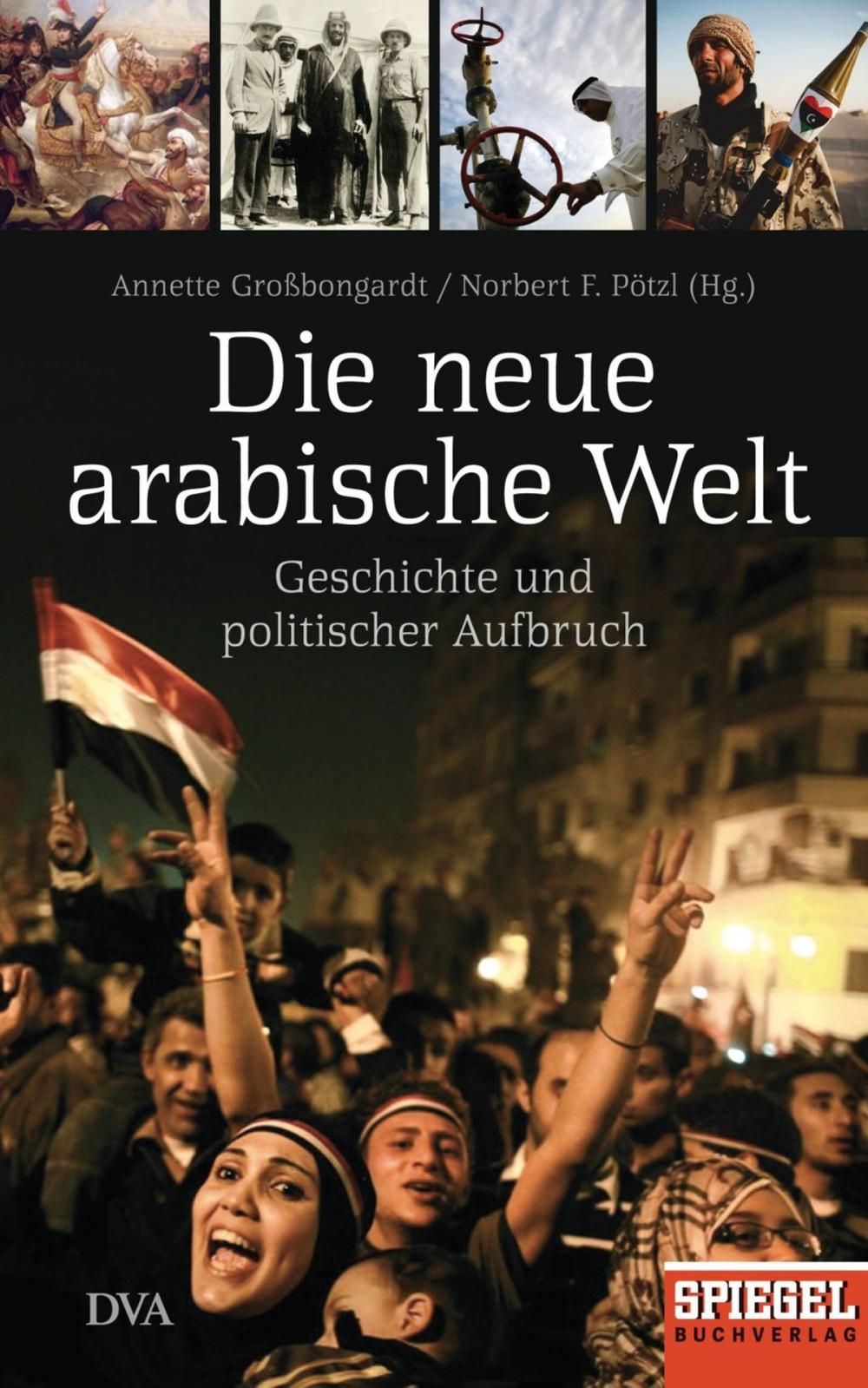 Big bigCover of Die neue arabische Welt