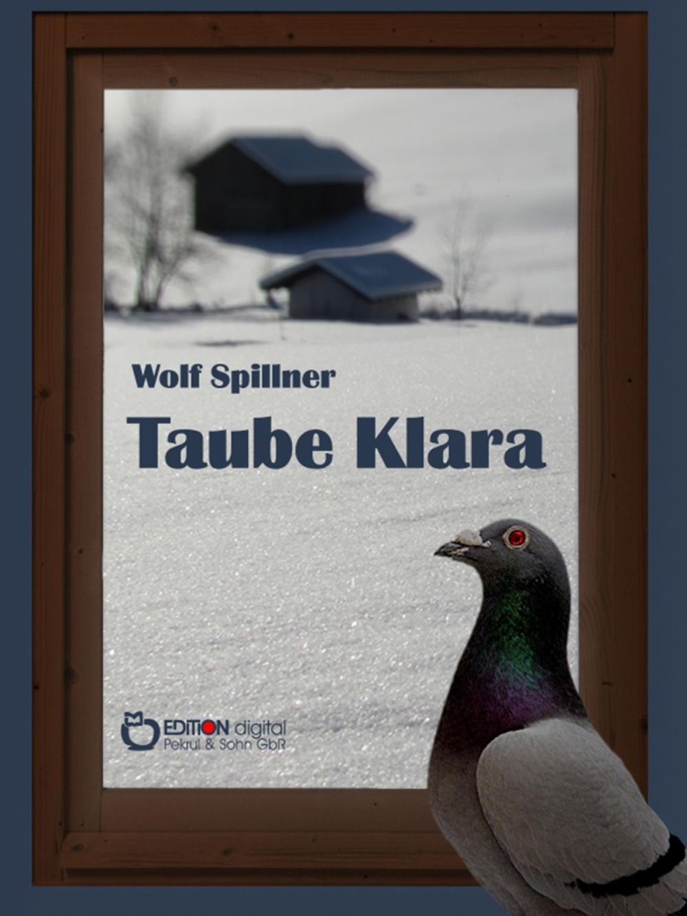 Big bigCover of Taube Klara oder Zufälle gibt es nicht