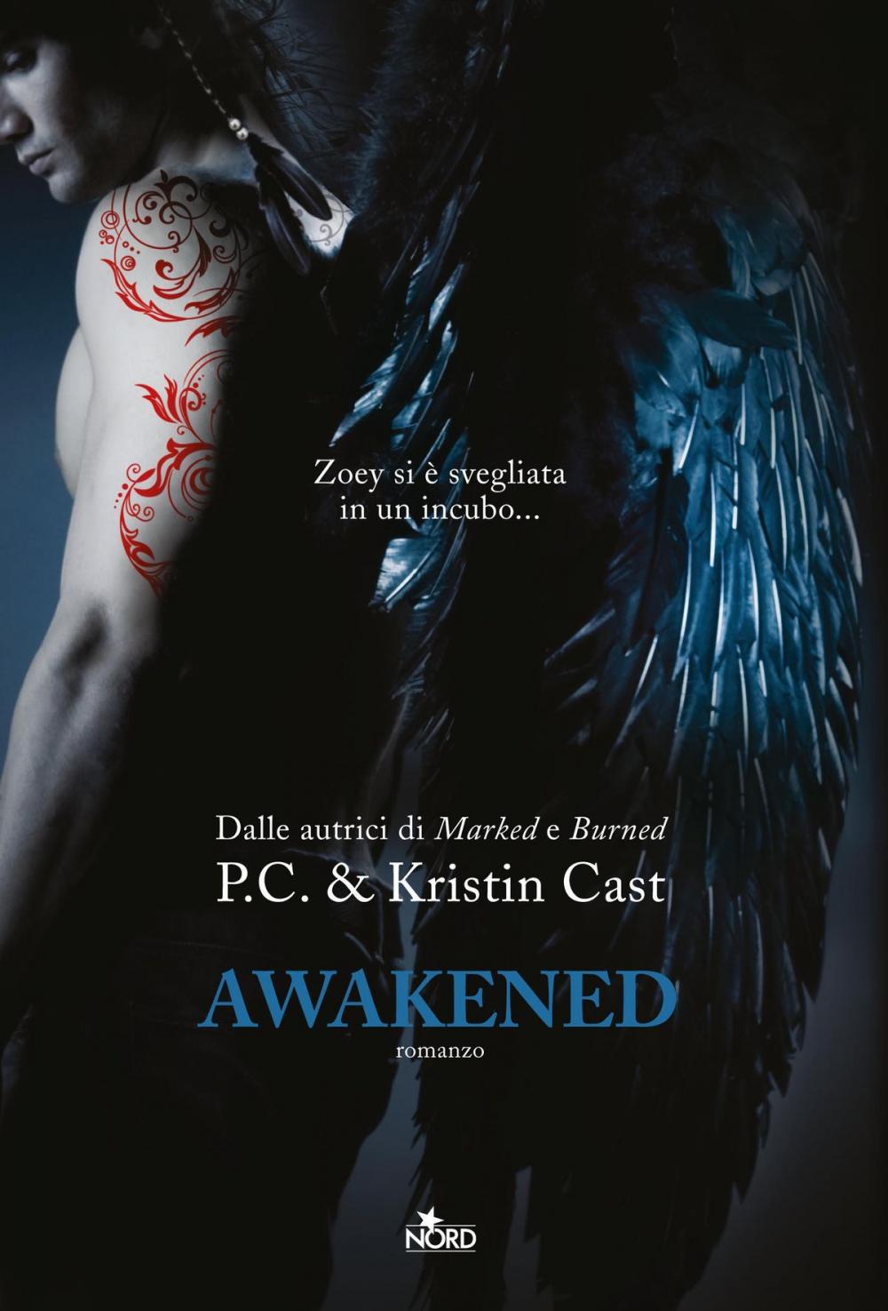 Big bigCover of Awakened