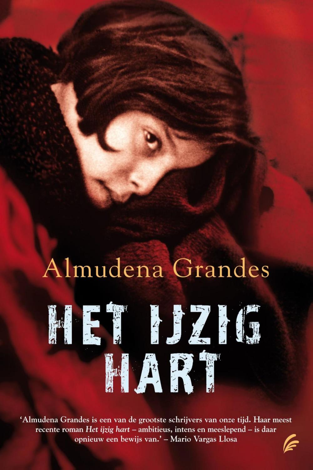 Big bigCover of Het ijzig hart