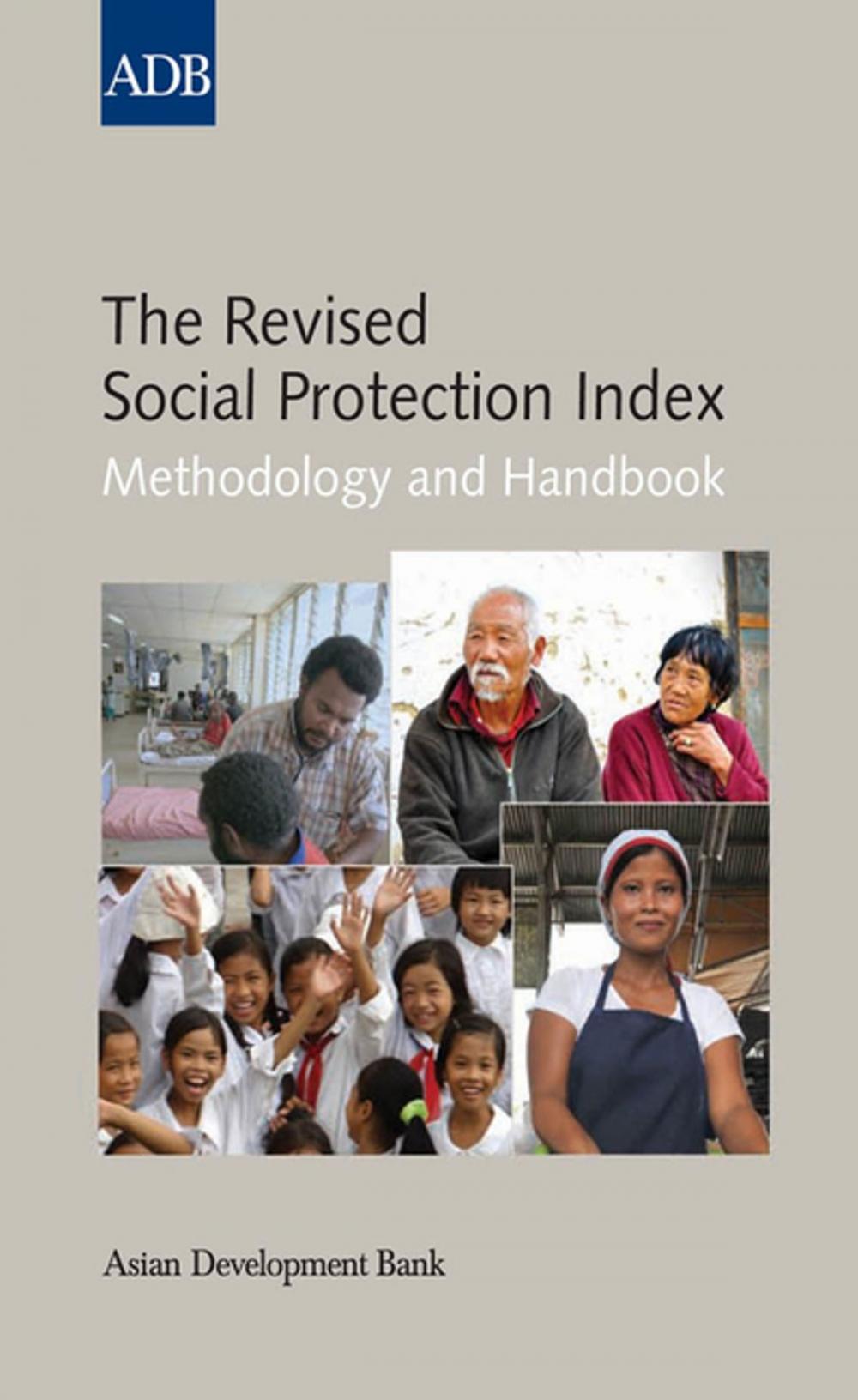 Big bigCover of The Revised Social Protection Index