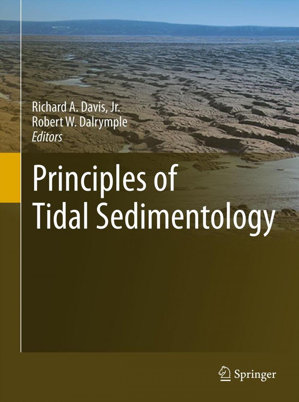 Big bigCover of Principles of Tidal Sedimentology