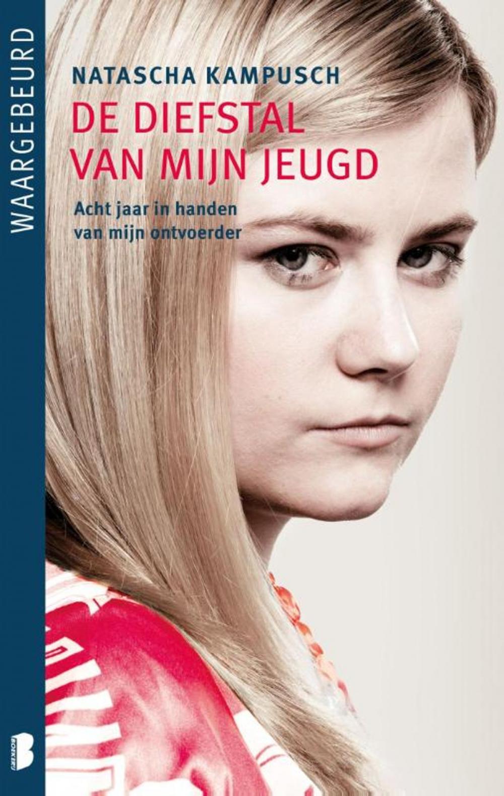 Big bigCover of De diefstal van mijn jeugd