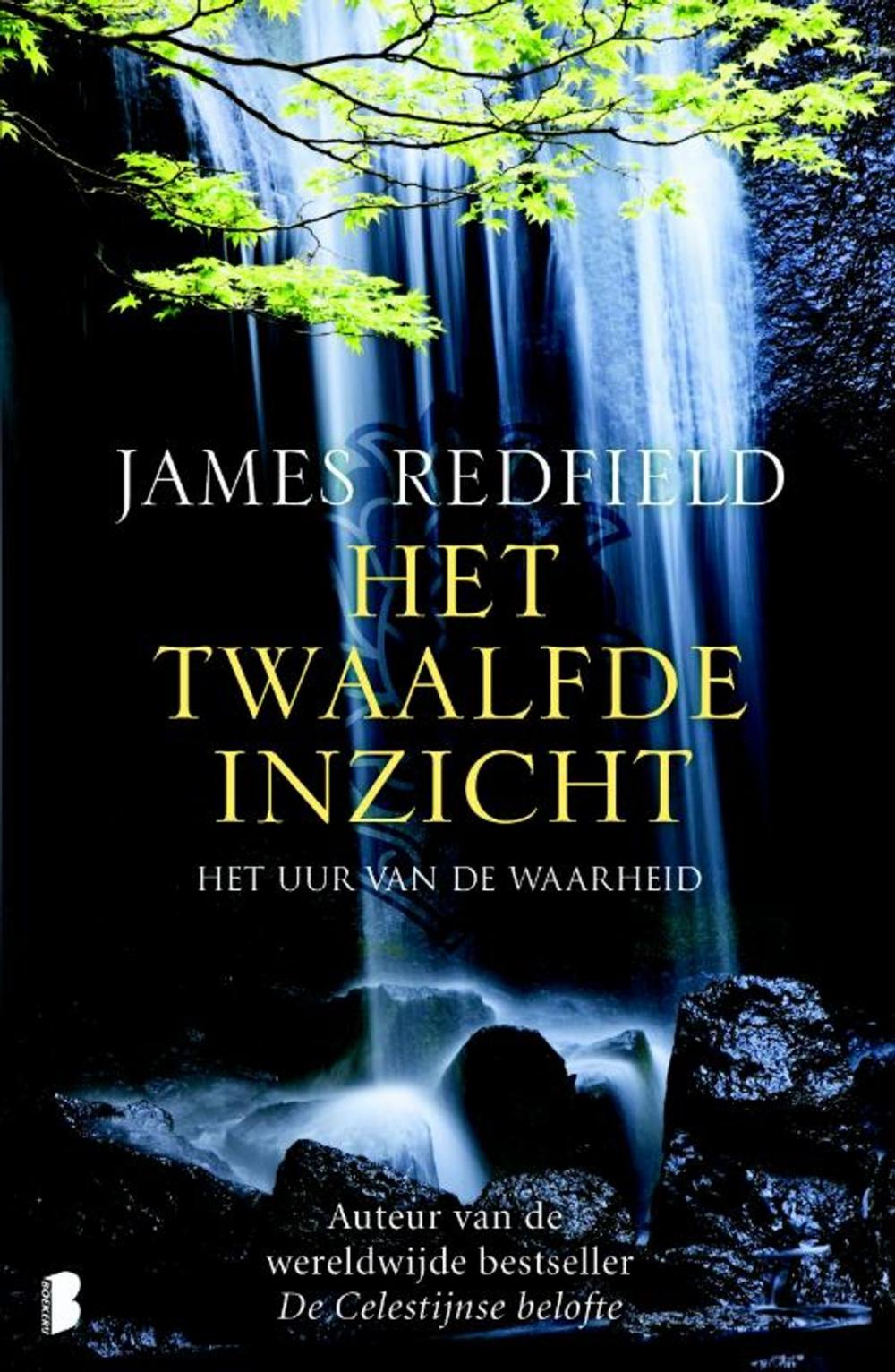 Big bigCover of Het twaalfde inzicht