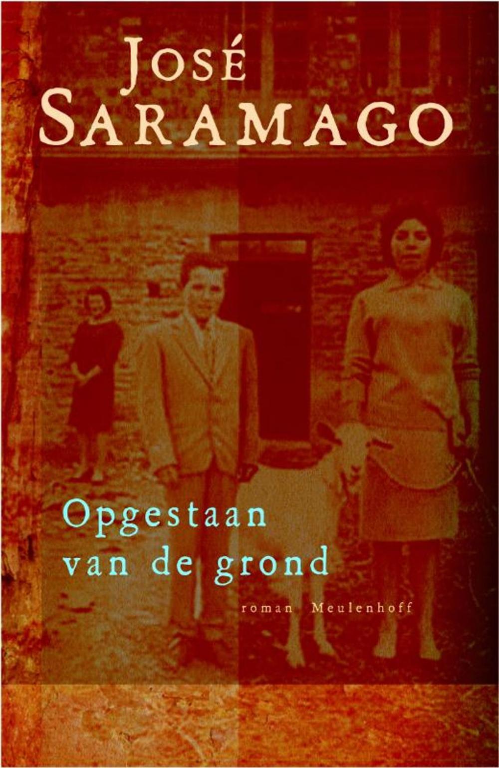 Big bigCover of Opgestaan van de grond