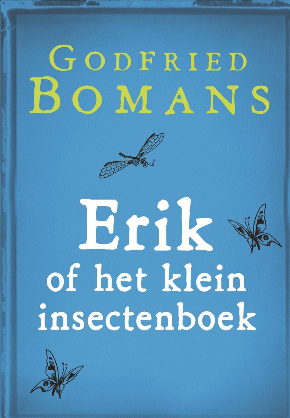 Big bigCover of Erik of het klein insectenboek