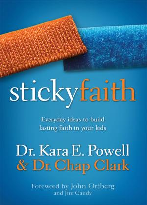 Book cover of Sticky Faith