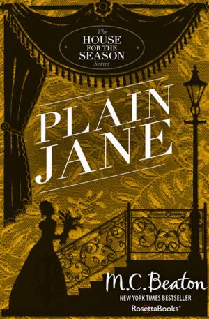 Cover of the book Plain Jane by Terry Goodkind