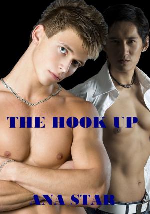 Book cover of The Hook Up