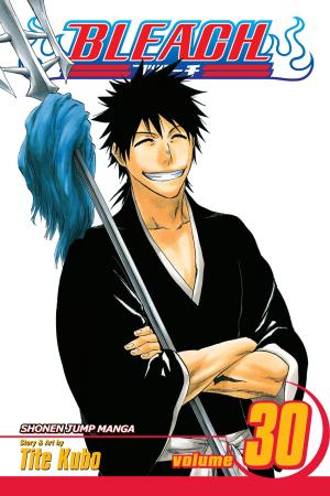 Cover of the book Bleach, Vol. 30 by Yoshihiro Togashi