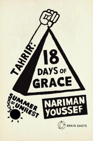 bigCover of the book Summer of Unrest: Tahrir - 18 Days of Grace by 