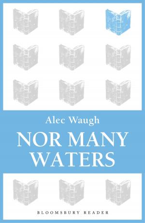 Book cover of Nor Many Waters