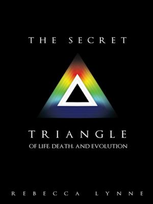 Cover of the book The Secret Triangle by Anne Linden