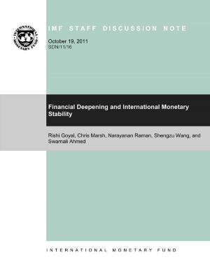 Cover of the book Financial Deepening and International Monetary Stability by Eng. Das Warhe