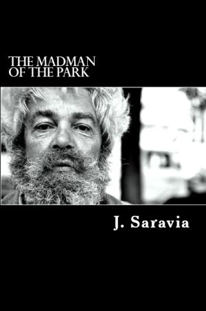 Cover of The madman of the park