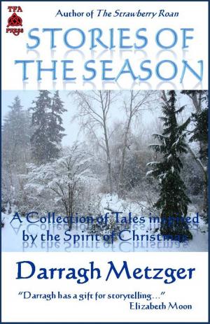 Cover of the book Stories of the Season by Judy Belshe-Toernblom