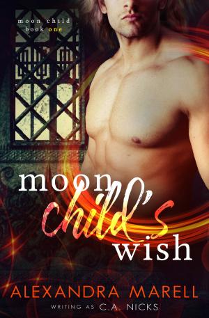 Book cover of The Moon Child's Wish