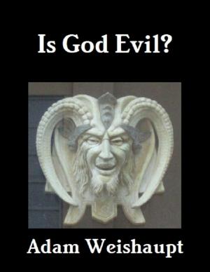 Cover of the book Is God Evil? by Mark D Siljander, John David Mann