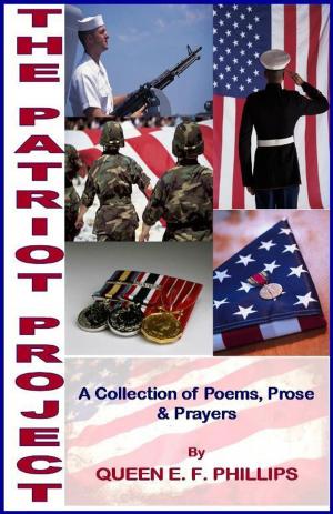 Cover of the book The Patriot Project by Sheldon Hollis