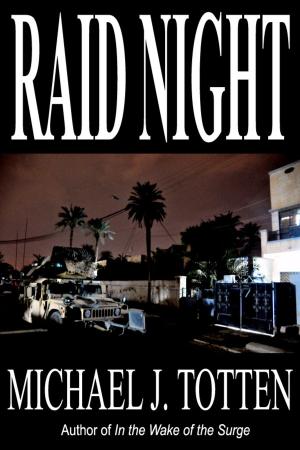 Book cover of Raid Night