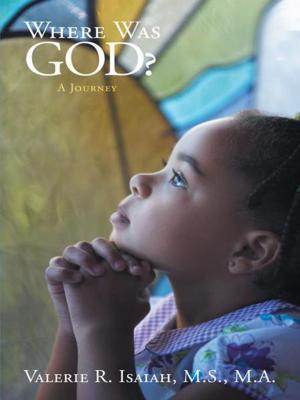 Cover of the book Where Was God? by Jerrold Pope