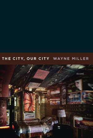 Cover of the book The City, Our City by beau carpenter