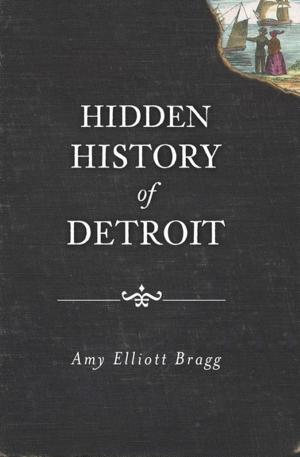 bigCover of the book Hidden History of Detroit by 