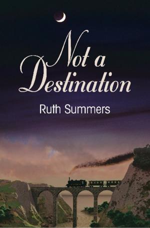 Cover of the book NOT A DESTINATION by Samia Mary Zumout