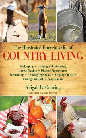 Cover of the book The Illustrated Encyclopedia of Country Living by Deborah Hart Strober, Gerald S. Strober