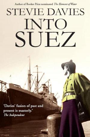 Cover of the book Into Suez by George Brinley Evans