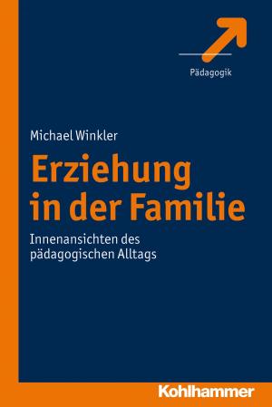 Cover of the book Erziehung in der Familie by Herbert Scheithauer, Vincenz Leuschner, NETWASS Research Group, Nora Fiedler, Johanna Scholl