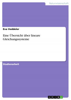 Cover of the book Eine Übersicht über lineare Gleichungssysteme by Elena Gratzke