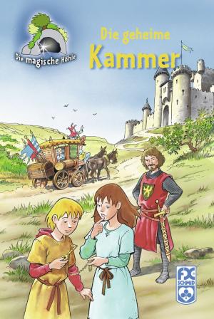 Cover of Die magische Höhle - Die geheime Kammer