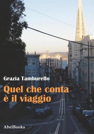 Cover of the book Quel che conta è il viaggio by Giancarlo Perazzini