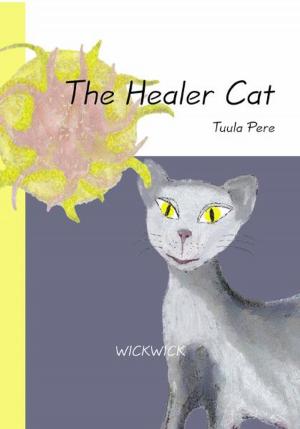 Book cover of The Healer Cat