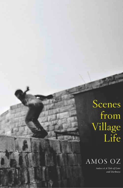 Cover of the book Scenes from Village Life by Amos Oz, Houghton Mifflin Harcourt