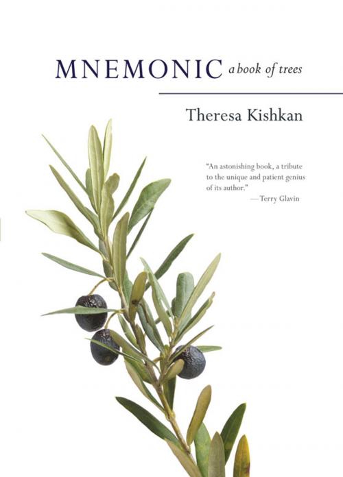 Cover of the book Mnemonic by Theresa Kishkan, Goose Lane Editions