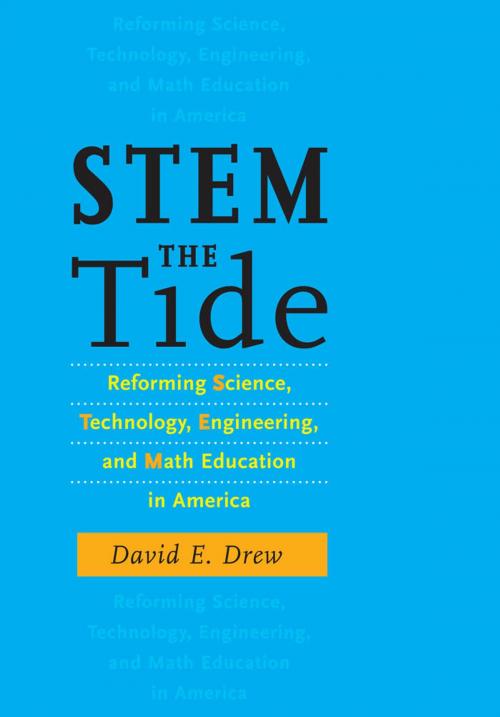 Cover of the book STEM the Tide by David E. Drew, Johns Hopkins University Press