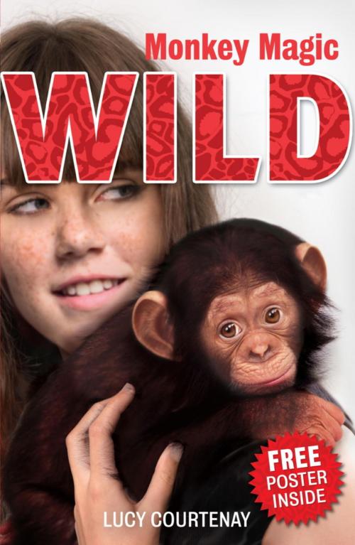 Cover of the book WILD: 2: Monkey Magic by Lucy Courtenay, Hachette Children's